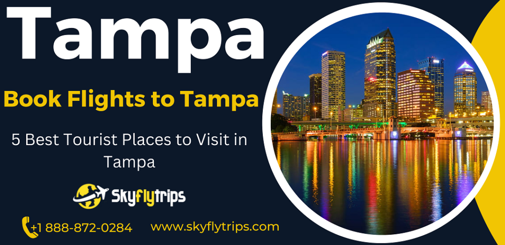 Flights to Tampa